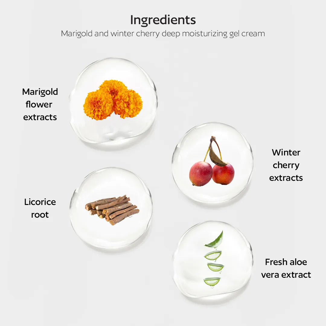 Marigold and Winter cherry Deep moisturizing gel cream for Dry skin-100ml